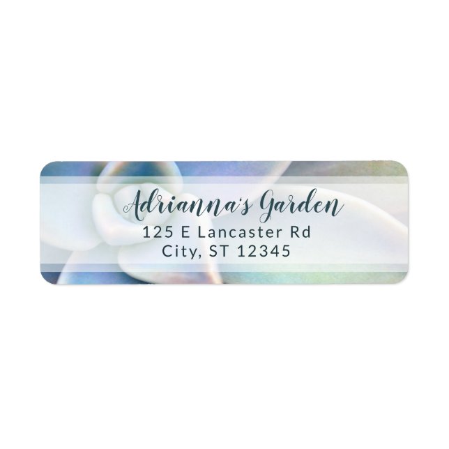 Modern Simple Succulent Plant Nursery Business Label (Front)
