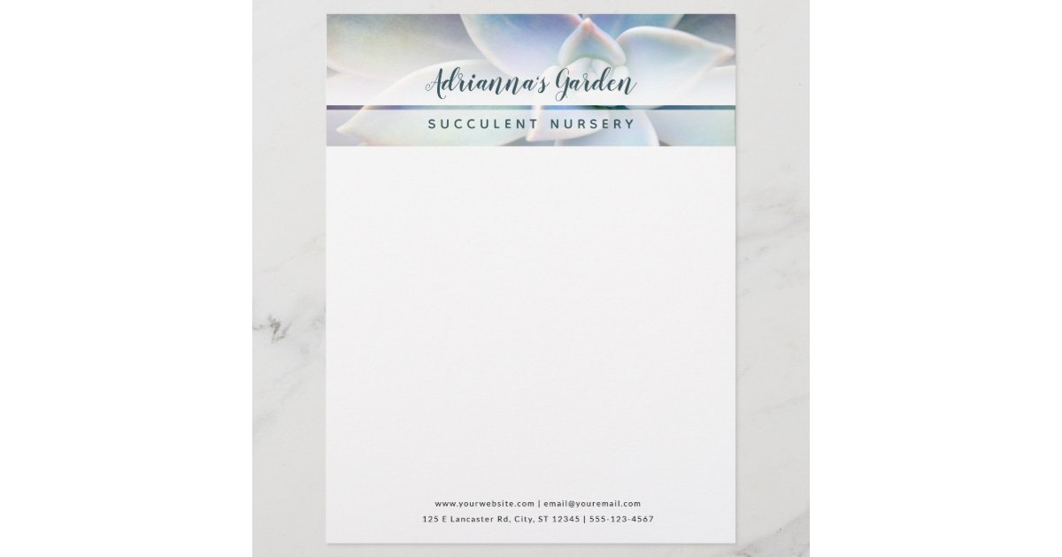 Modern Simple Succulent Plant Nursery Business Letterhead Zazzle