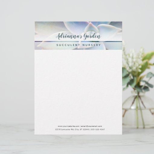 Modern Simple Succulent Plant Nursery Business Letterhead Zazzle