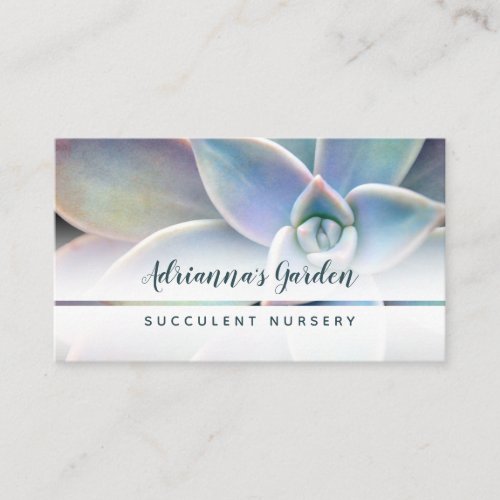 Modern Simple Succulent Plant Nursery Photo Business Card