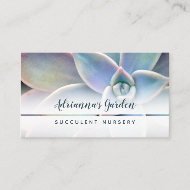 Modern Simple Succulent Plant Nursery Photo Business Card (Front)