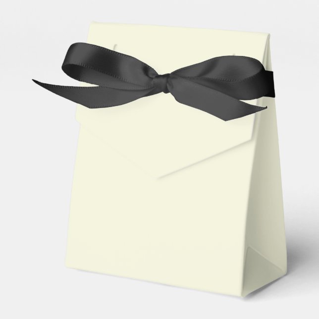 Modern Solid Ivory Simple Chic Elegant Favor Boxes (Front Side)