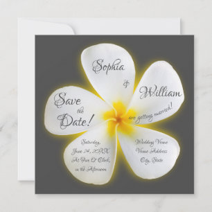 Modern Square White Plumeria Flower, Save the Date Invitation