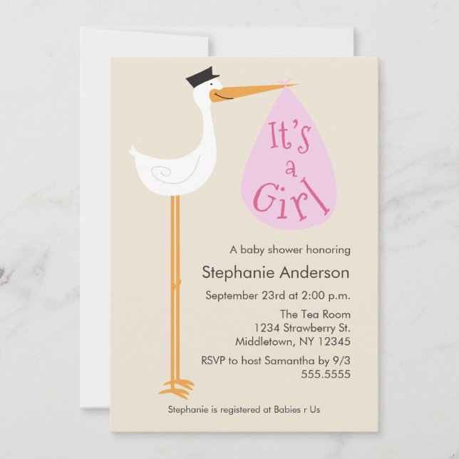 Modern Stork Baby Shower Invitation - Girl (Front)