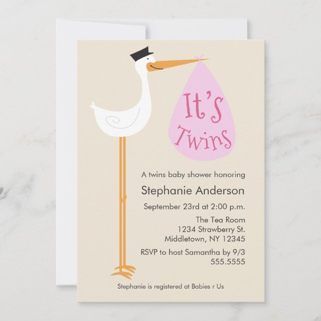 Modern Stork Baby Shower Invitation - Twin Girls (Front)
