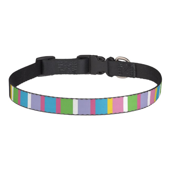 Modern Stripes Pattern Bright Colors Hip Fun Pet Collar (Front)