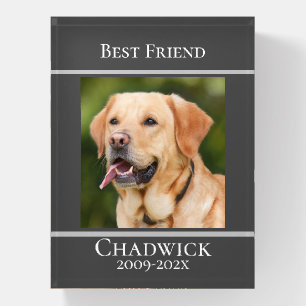 Modern Stylish Add Photo Pet Memorial Paperweight