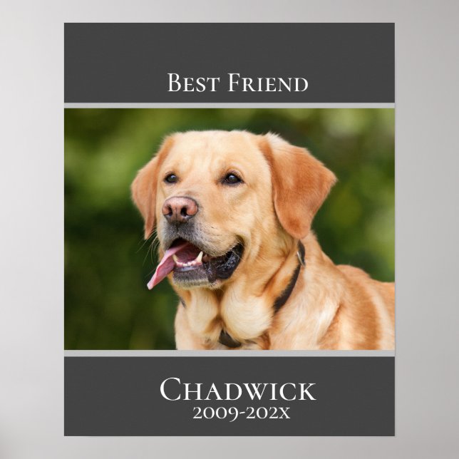 Modern Stylish Add Photo Pet Memorial  Poster (Front)