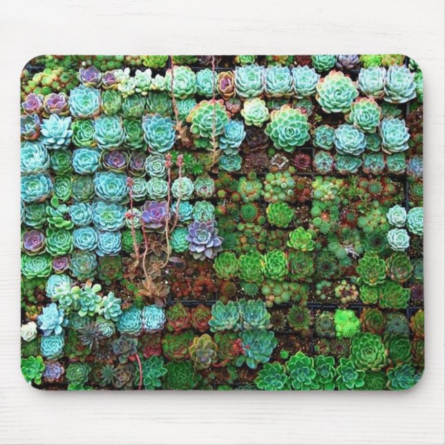 Modern Succulent Collection Green Botanical Mouse Pad (Front)