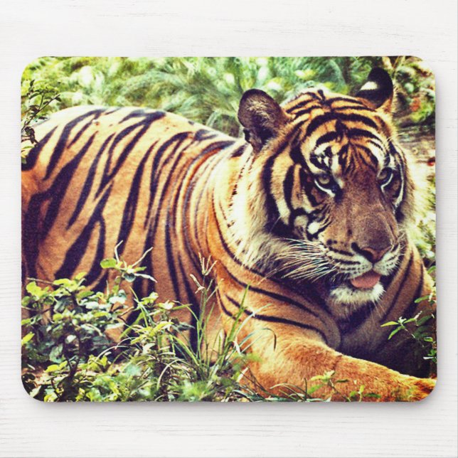 Modern Sumatran Tiger Mousepad (Front)
