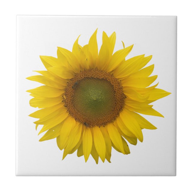 Modern Sunflower Simple Rustic Ceramic Tile (Front)