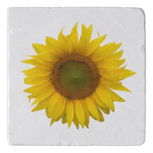 Modern Sunflower Yellow Floral Rustic  Trivet