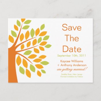 Modern Tangerine Tree Save The Date Post Card! Announcement Postcard by celebrateitweddings at Zazzle