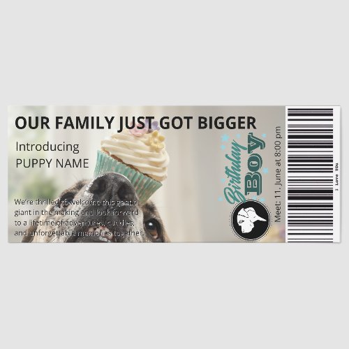 Modern Ticket Style New Puppy Announcement Card