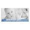 Modern Tones Baby Boy Birth Announcement