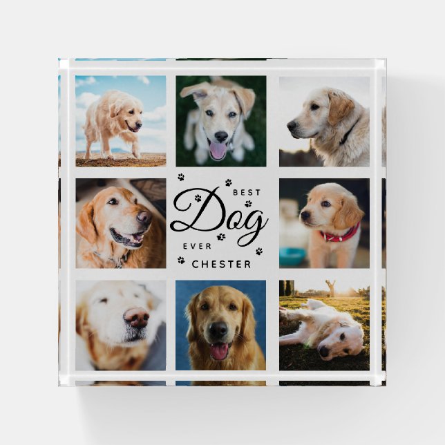Modern Trendy Best Dog Ever Pet Paw Photo Collage Paperweight (Front)