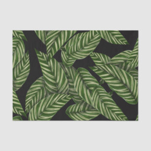 Modern Tropical Leaf Palm Plant Print Monogram Tissue Paper