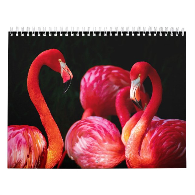 Modern Tropical Pink Flamingo Calendar (Cover)
