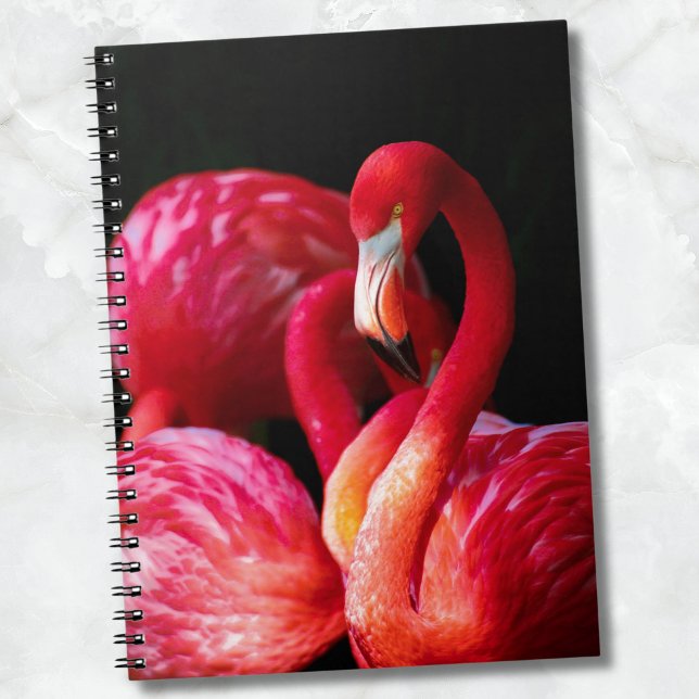 Modern Tropical Pink Flamingo Notebook (Modern Tropical Pink Flamingo notebook)