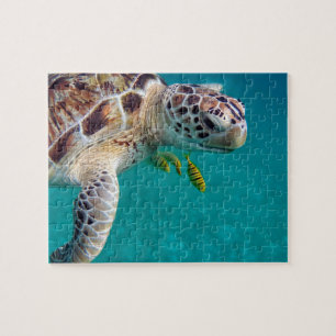Modern Tropical Turtle Jigsaw Puzzle