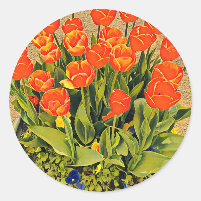 Modern tulips colorful orange classic round sticker (Front)