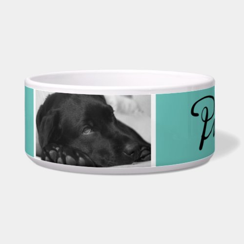 Modern Turquoise Dog Name in Black Script 2 Photo Bowl - Modern abstract turquoise background with dog`s name in black script and 2 photos. This dog bowl comes with a dog`s name in black script and 2 photos - personalize the bowl with your dog`s name and insert two of your photos into the template.