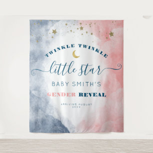 Modern Twinkle Twinkle Gender Reveal Backdrop