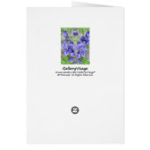 Modern Urban Garden Cards (Back)