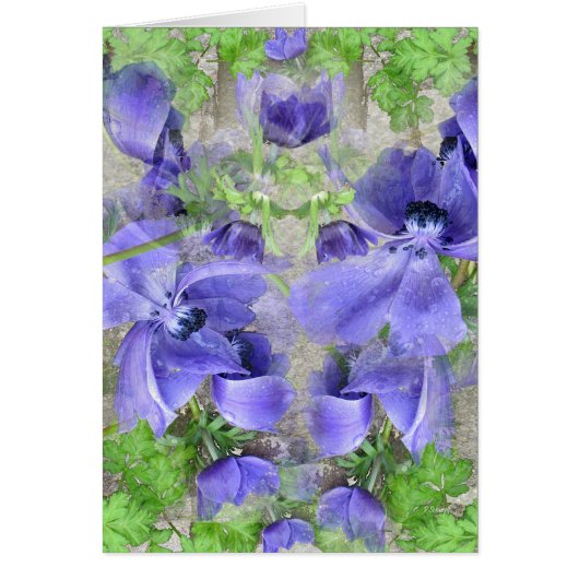 Modern Urban Garden Cards (Front)