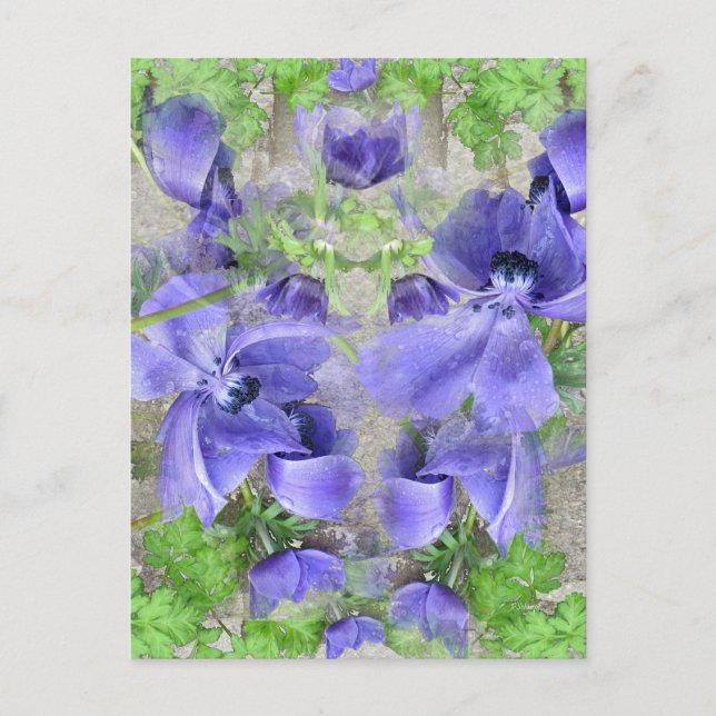 Modern Urban Garden Postcard (Front)