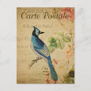 Modern Vintage Bird Floral collage art Postcard