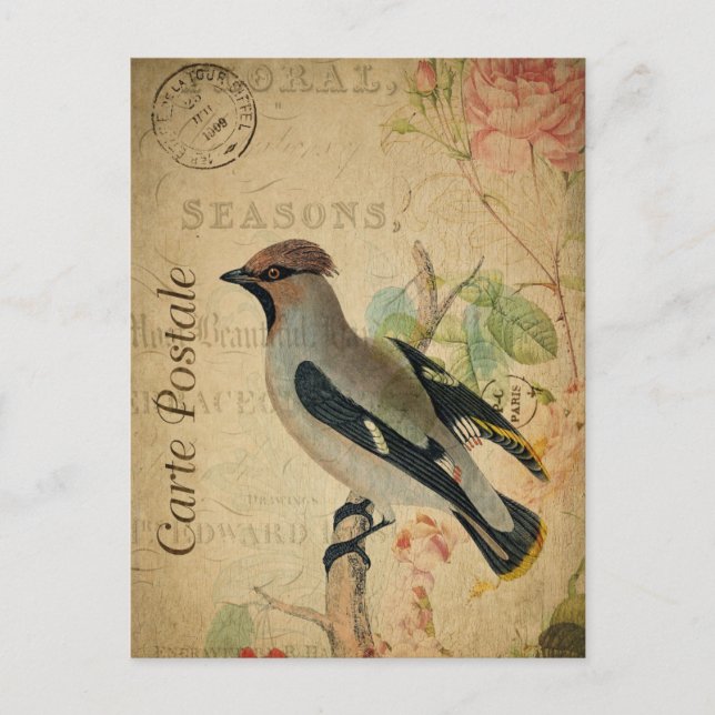 Modern Vintage Bird Floral collage art  Postcard (Front)