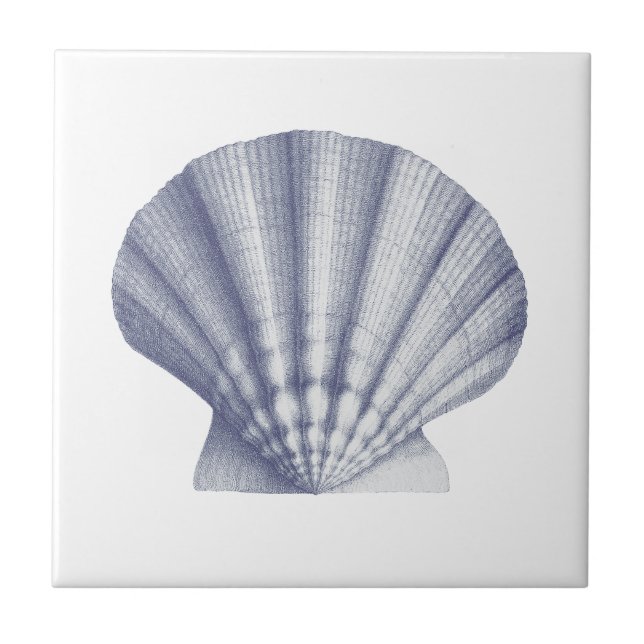Modern Vintage Blue Sea Shell Ceramic Tile (Front)