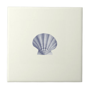 Modern Vintage Blue Sea Shell on Ivory Ceramic Tile