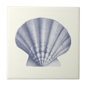 Modern Vintage Blue Sea Shell on Ivory Ceramic Tile