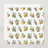 modern vintage botanical fruits (Front/Back)