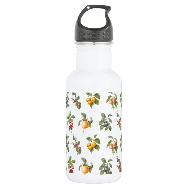 modern vintage botanical fruits stainless steel water bottle (Front)