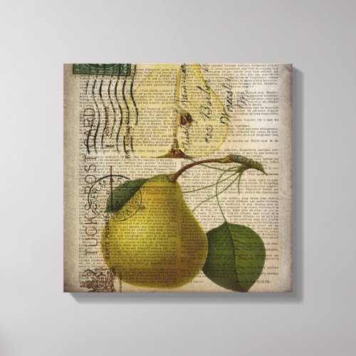 modern Vintage Botanical Print fruit pear