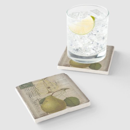 modern Vintage Botanical Print fruit pear Stone Coaster