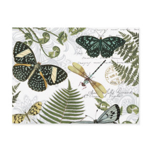 modern vintage butterflies and dragonflies postcard