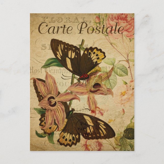 Modern Vintage Butterflies collage art  Postcard (Front)