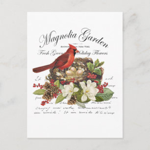 Modern Vintage Christmas Cardinal Postcard