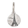 modern vintage Eiffel Tower Pet ID Tag