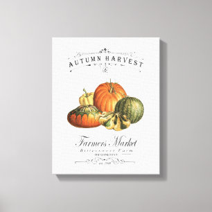 modern vintage fall gourds and pumpkin canvas print