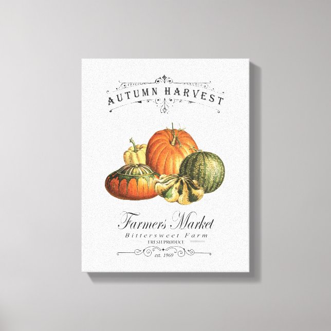 modern vintage fall gourds and pumpkin canvas print (Front)