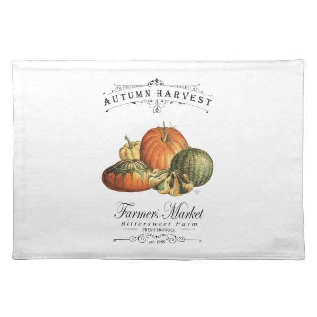 modern vintage fall gourds and pumpkin cloth placemat (Front)