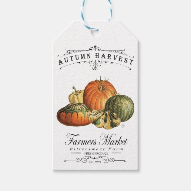 Modern Vintage Fall Gourds And Pumpkin Gift Tags