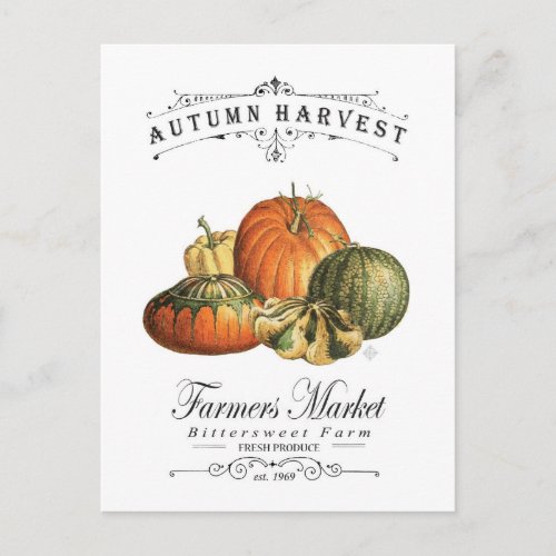 modern vintage fall gourds and pumpkin postcard