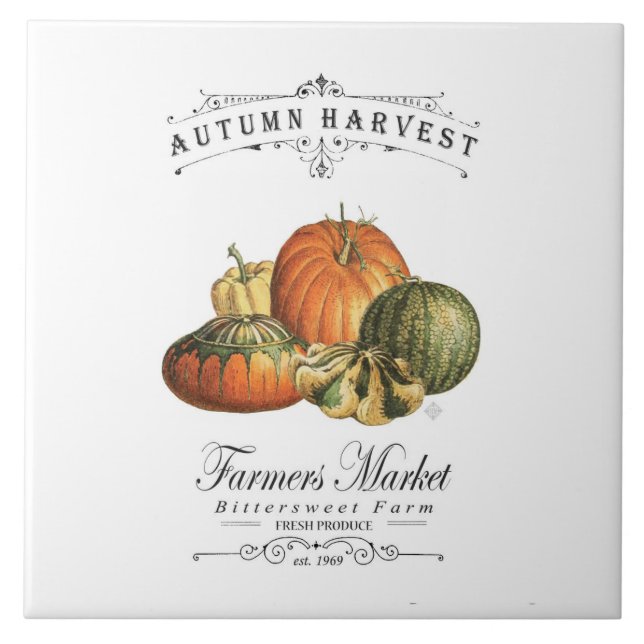 modern vintage fall gourds and pumpkin tile (Front)