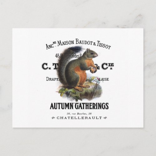 modern vintage fall squirrel postcard